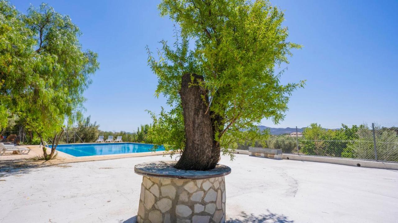 Cortijo El Alamo 1 Velez Blanco By Ruralidays Villa Exterior photo